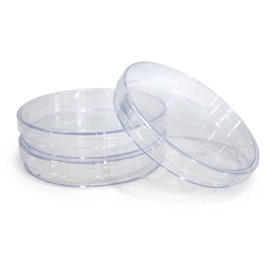 Petri Dishes