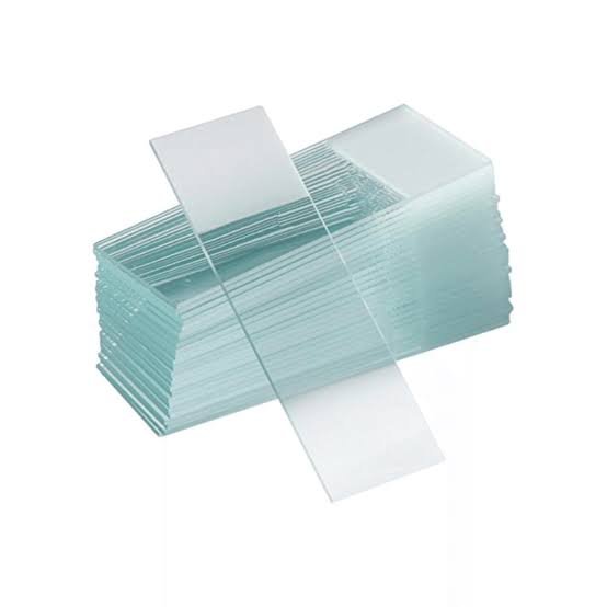 Microscope Slides