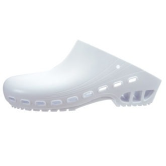 Laboratory Clogs