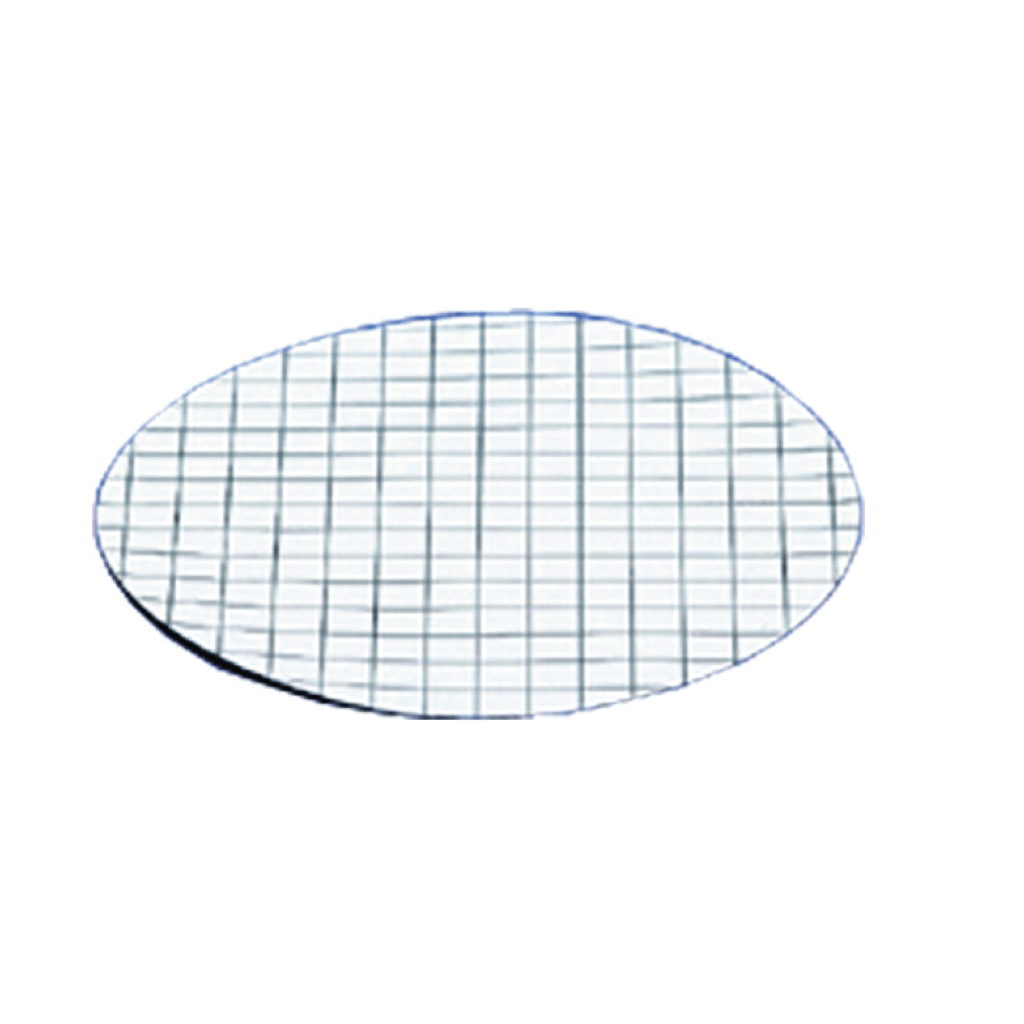 Gridded Membrane Filters