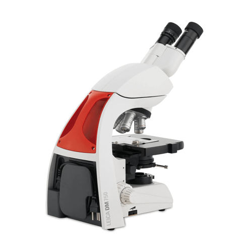 DM750 Binocular Microscope for Postdocs in Life Sciences