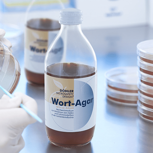 Wort Agar