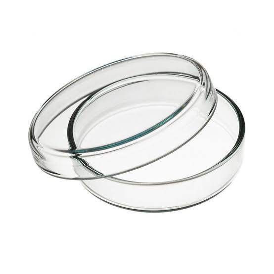 Glass Petri Dish, 90 mm